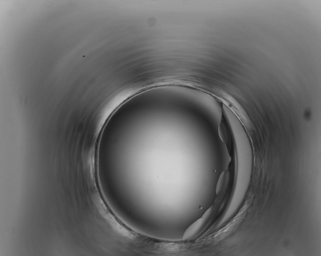 X0000090760812200707271505