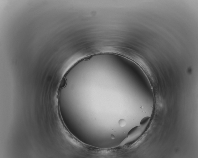 X0000090760814200707271504