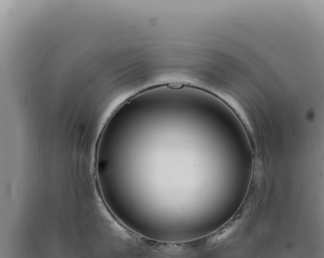 X0000090760815200707271504