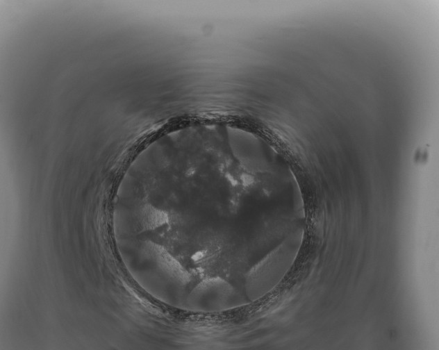 X0000090760817200707271504