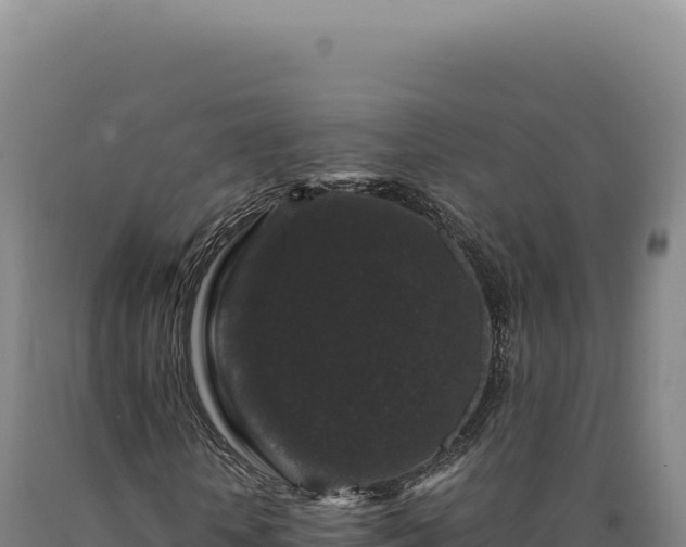 X0000090760818200707271504