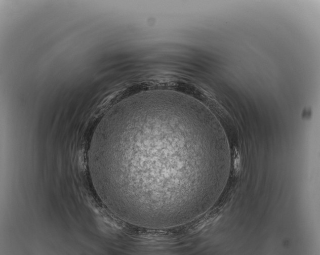 X0000090760819200707271504