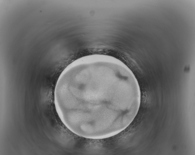 X0000090760820200707271504