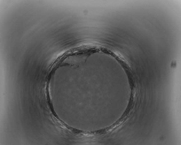 X0000090760822200707271504