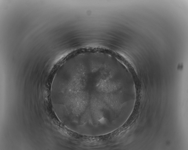 X0000090760823200707271504