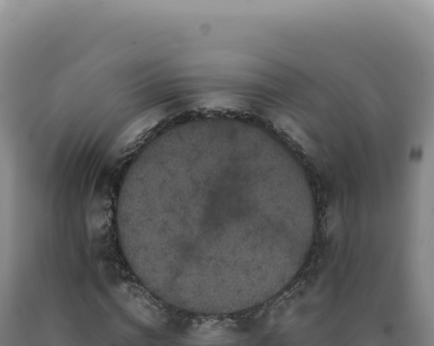 X0000090760824200707271504