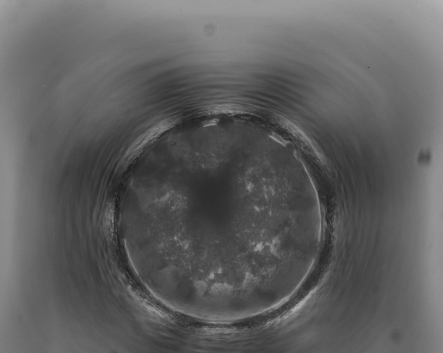 X0000090760825200707271504