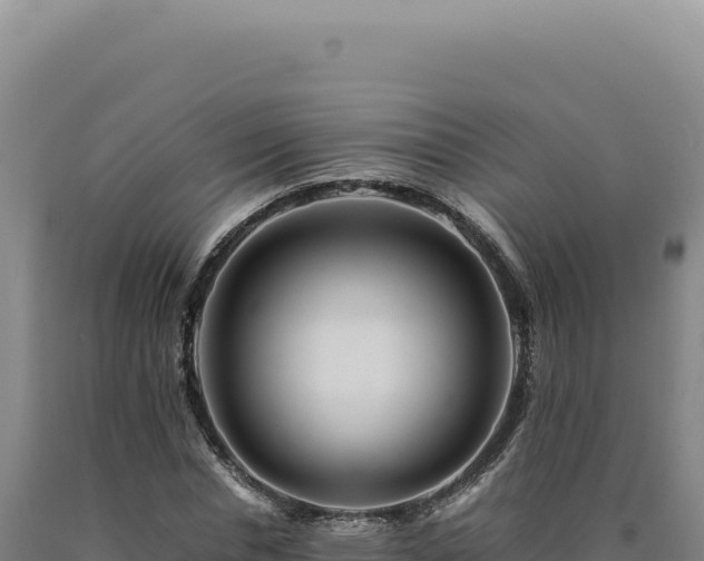 X0000090760826200707271504