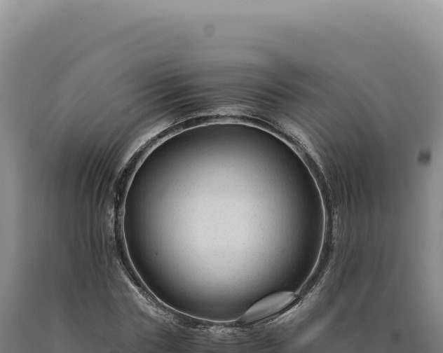 X0000090760827200707271504