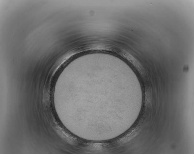 X0000090760828200707271504