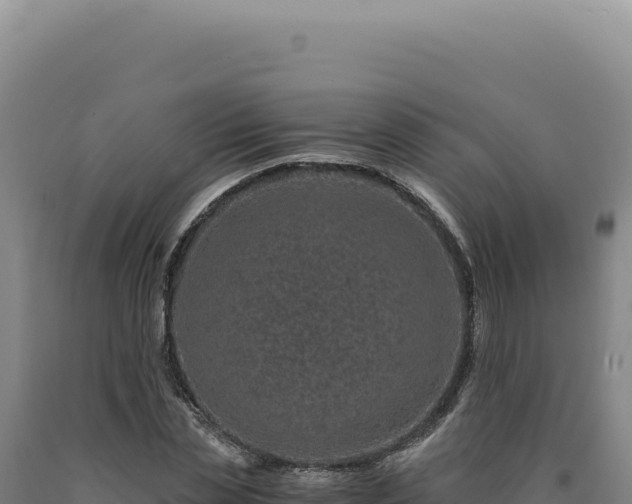 X0000090760829200707271504