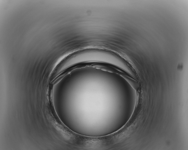 X0000090760830200707271504