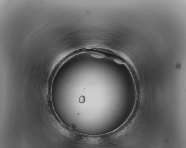 X0000090760831200707271504