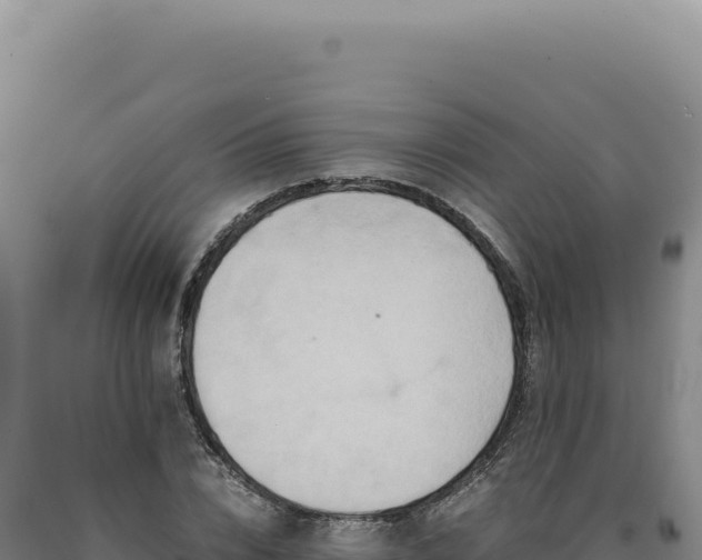 X0000090760832200707271504