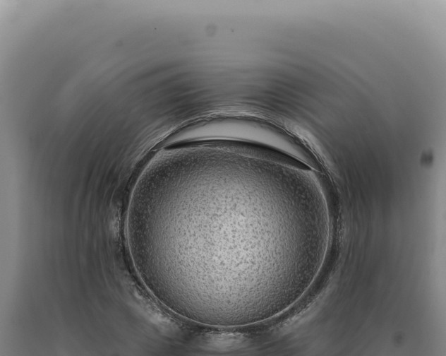 X0000090760833200707271504