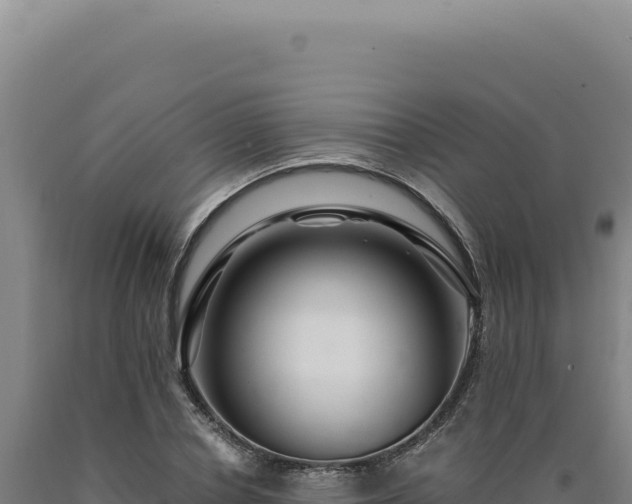 X0000090760834200707271504