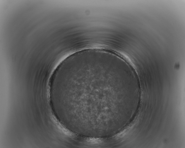 X0000090760835200707271504