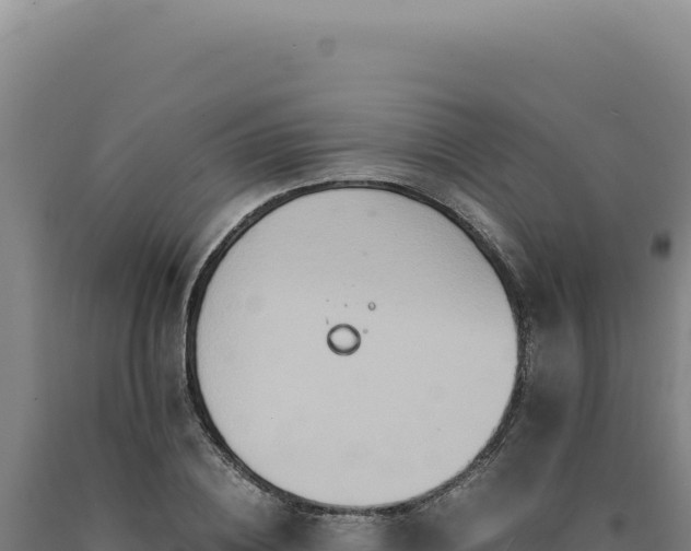 X0000090760836200707271504