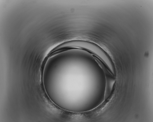 X0000090760838200707271504