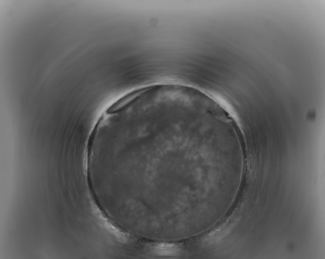 X0000090760839200707271504