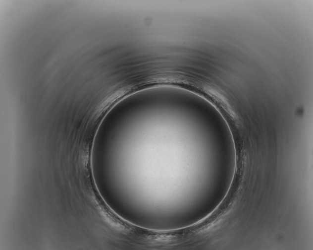 X0000090760841200707271504