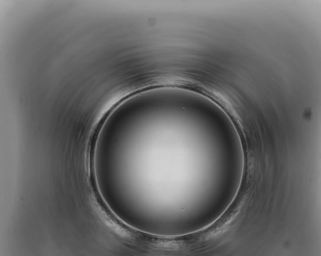 X0000090760843200707271504