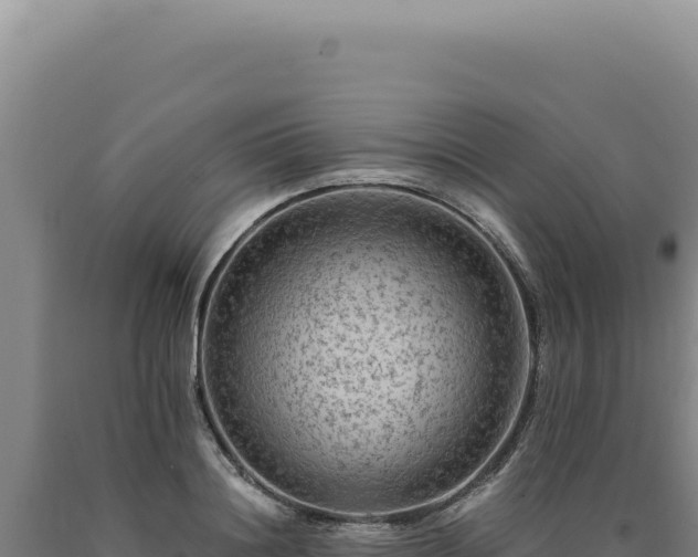 X0000090760844200707271504