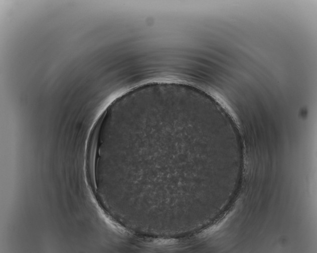 X0000090760845200707271504