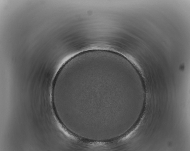 X0000090760846200707271504