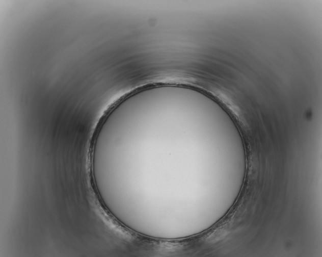 X0000090760848200707271504