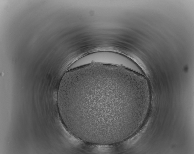 X0000090760849200707271504