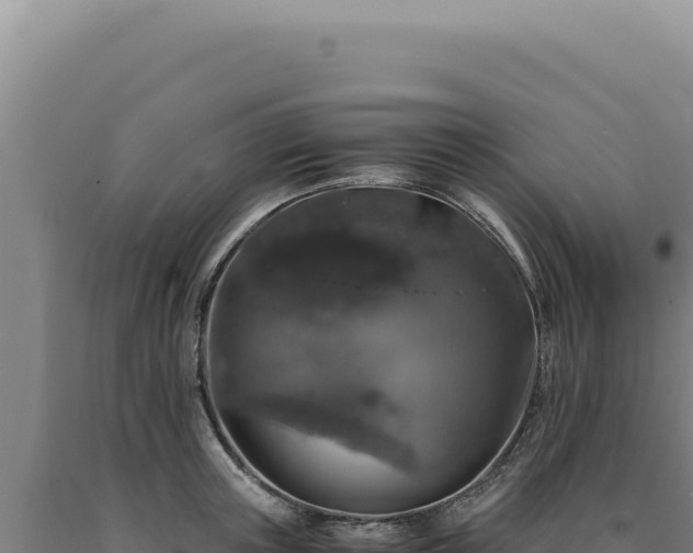 X0000090760851200707271504