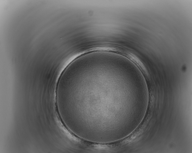 X0000090760852200707271504