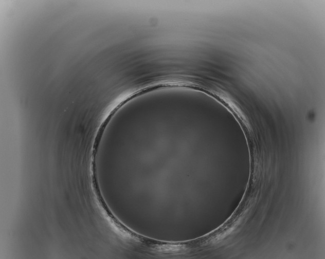 X0000090760853200707271504