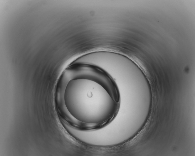 X0000090760854200707271504