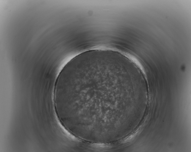 X0000090760855200707271504