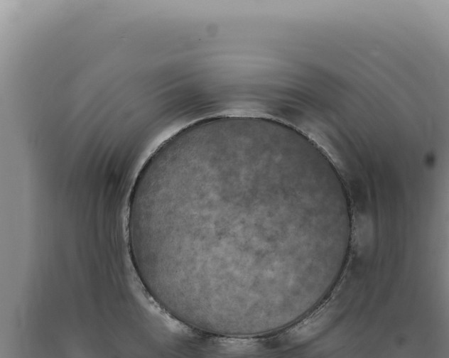 X0000090760856200707271504