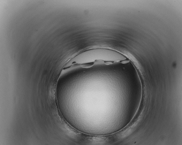 X0000090760857200707271504