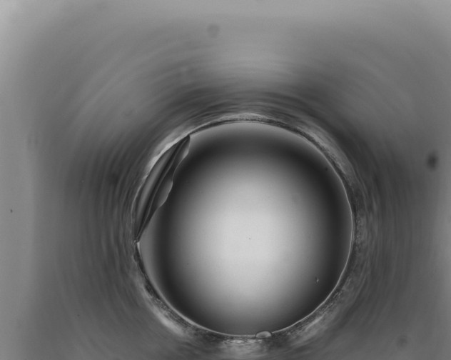 X0000090760858200707271504