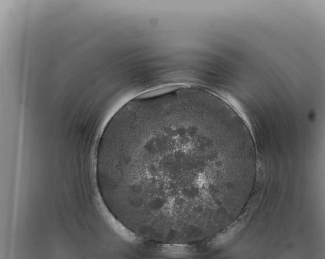 X0000090760859200707271504