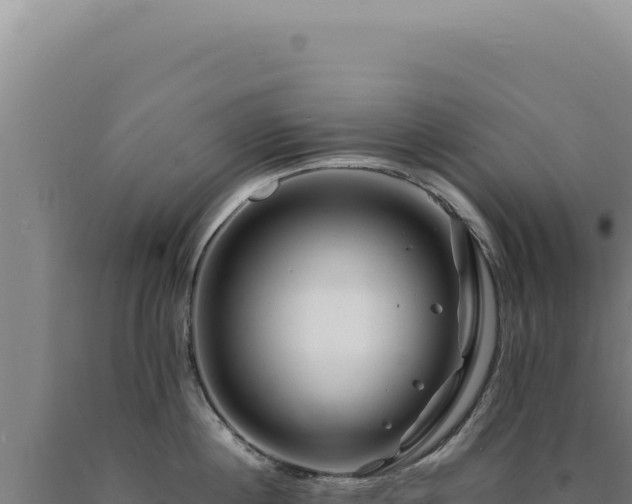 X0000090760860200707271504