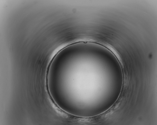 X0000090760861200707271504