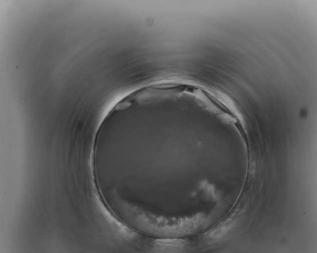 X0000090760863200707271504