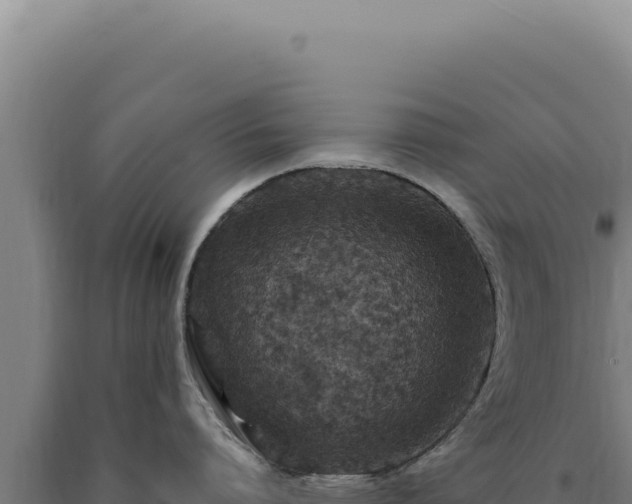 X0000090760864200707271504