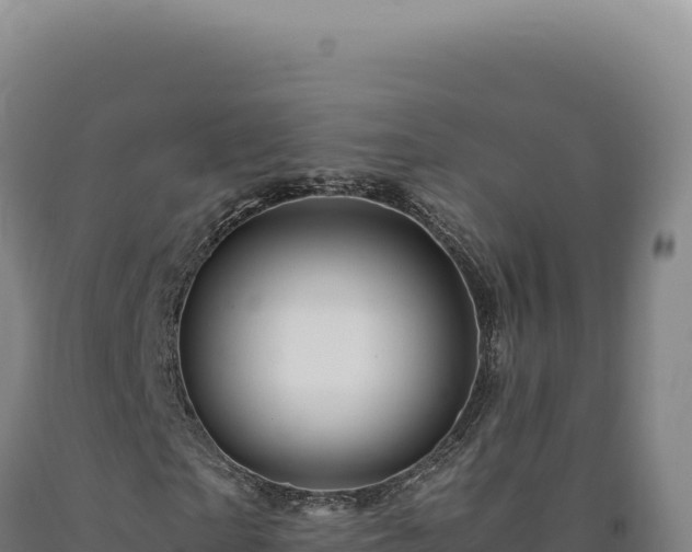 X0000090760865200707271504