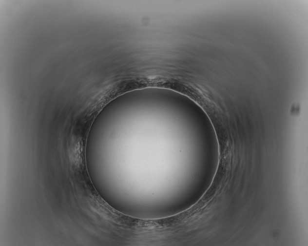 X0000090760866200707271504