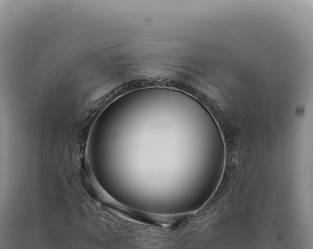 X0000090760869200707271504