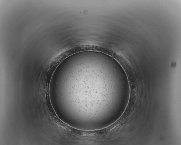 X0000090760870200707271504