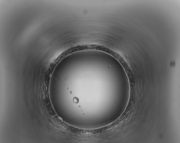 X0000090760871200707271504