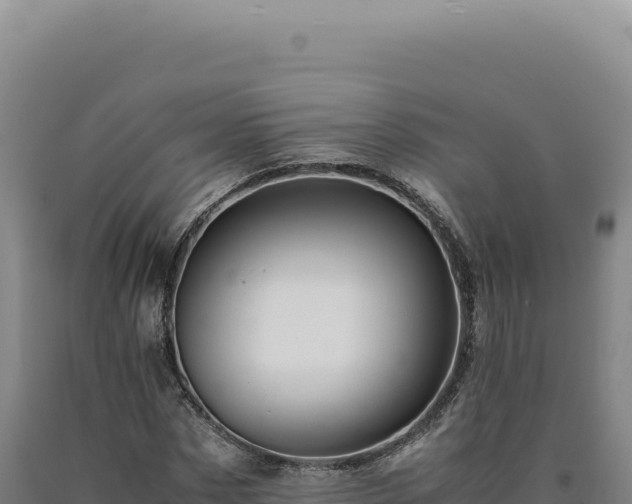 X0000090760873200707271504